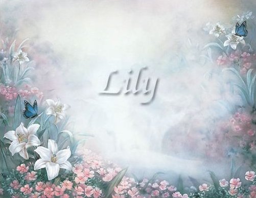 Lily Mist