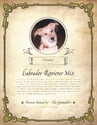 Pet Pedigree Certificate - Keepsakes for Cat & Dog Lovers