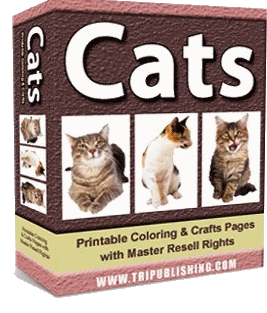 Cat's Coloring book